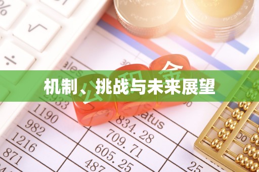 西塞山机制、挑战与未来展望